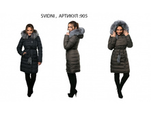 905 ���� 6100�