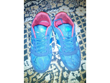 ����� ������� ��������� ������ �.41