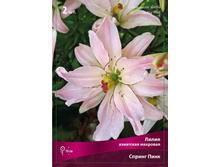 ����� ������ ����..jpg