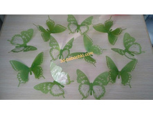 ���������� ��̣���.jpg