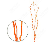 �321 ������� 150 �� 3 �� � �������� (���������) 388�.jpg