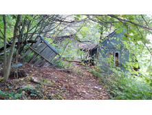 IMG 20170924 131518.jpg