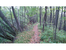 IMG 20170924 142943.jpg