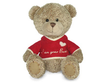 ���������� �������� � ���������� ���. - 198,95 ���