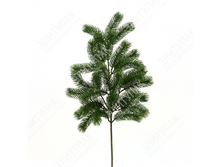 ��006008 ����� ������� ������ 65 �� 1 �� (��̣���) 271�.jpg