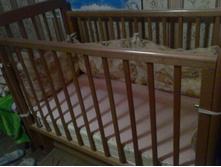 IMG 20170908 155907.jpg