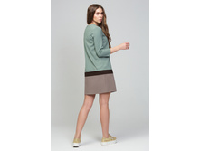 DSP-293-59t (4) c.jpg