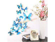 ������������ ���������� �����.jpg