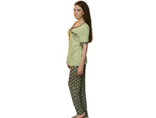 �������� ������� 13r007