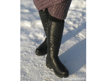 464495 31191thumb500.jpg