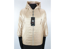 ������ ������� ���� (���������)