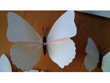 .���������� ���. ����4.jpg