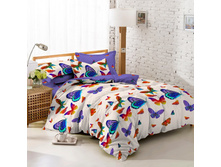 ������� ����������.jpg