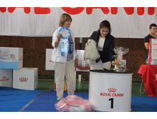 IMG 4339.JPG