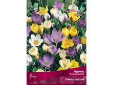 ������ ������������ �����.jpg