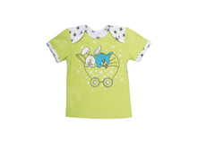 �������� �������� 17-509