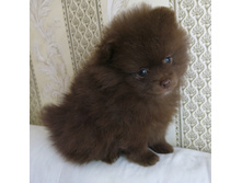 ����� 001.JPG