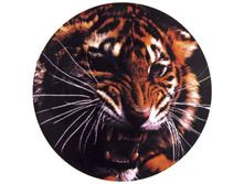 S06301010 ����� ��������� ������ ���� R16,17 SKYWAY ���-���� (���������) ���� 620 ���..jpg