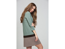 DSP-293-59t (2) c.jpg