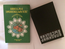 IMG 7550.JPG