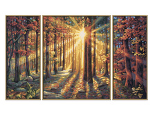 ������� ������� ���, 50�80 ��, 1/6 2045 ���