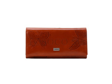 ������� Tosoco ����������� ���� P05-W02.jpg