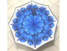 ����-�������� �������� ����� ����� 590�