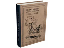 ������ ���������