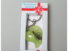 ������ ����� 430061 ��� 15�.jpg