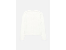 20210130118   Austria   �����(����).jpg