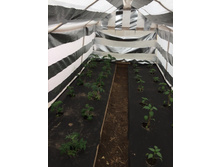 ��������. ��������� 90 �������������� �������� - ����� 100 �. ����� 1,6 �. ������ - 4312 ���..jpg