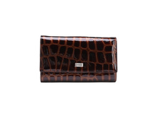 ������� Tosoco ����������� ���� F11-W05.jpg