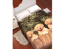 ZA MF 122 ap1520 ����� � ��������.jpg