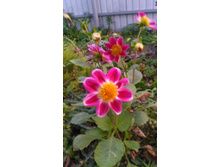 P 20170924 181356.jpg