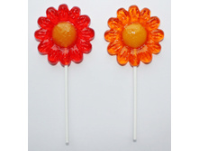 �������� ������� �� ������� ������� 30� ���� 14 ���