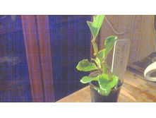 ������� ������������� ��������