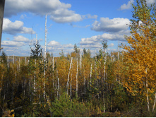 DSCN4487.JPG