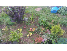 P 20170917 175134.jpg