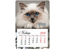 ��������� �������� �� ������� 95�135��, �������, OfficeSpace Mono - ������� ��������, 2018�. 30,20.jpg