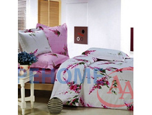 ��� ���� ����� ������(B59-2).jpg