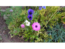 P 20171008 154900.jpg