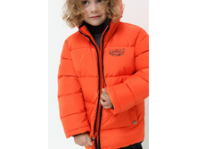 20120130099   Severino   ���������.jpg