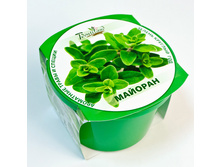 ������� 76 ���