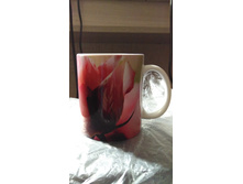 IMG 20171015 113254.jpg