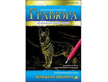 ����� ��� ������� ������ �������� ������� - 38,90 ���