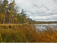 P 20170930 131208 HDR.jpg