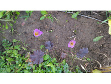 P 20171008 154825.jpg