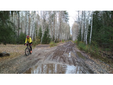 IMG 20171021 134624 BURST2.jpg