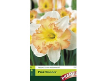 2 ������� �����-���������� Pink Wonder, 65���, 7��