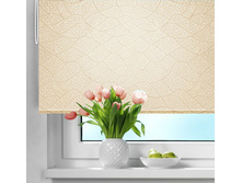 �������� �����, ����������	��������